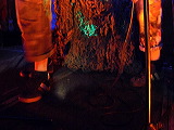p1000495
